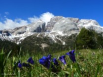 4.-Italian-Dolomites-300x225